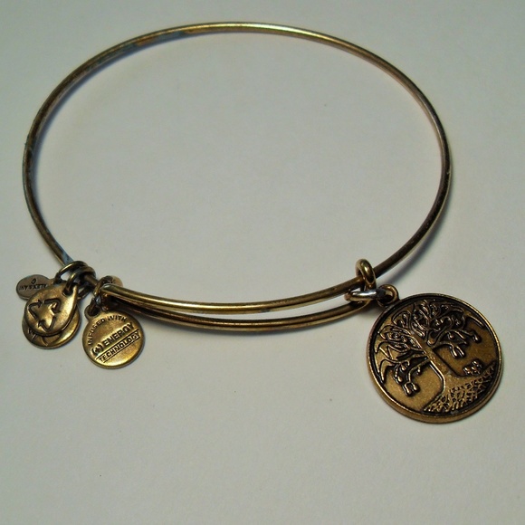 Alex and Ani Jewelry - Alex and Ani Tree of Life bracelet 2012